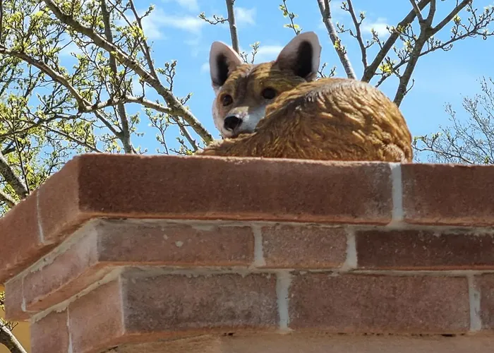 Orizzonti Del Castelluccio Volpe Rossa Elegante Confortevole E Rilassante